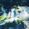 Pressure Washing Services, Painting, Paver Sealing